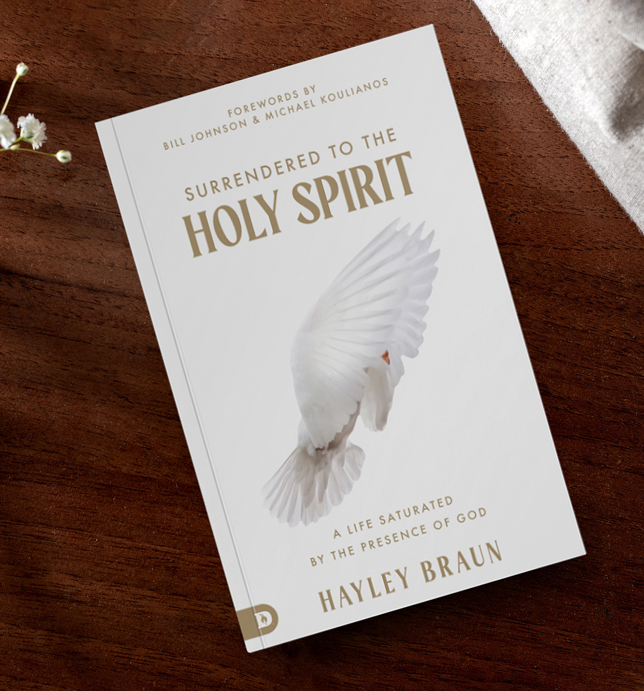 Hayley Braun Walking With The Holy Spirit Devotional